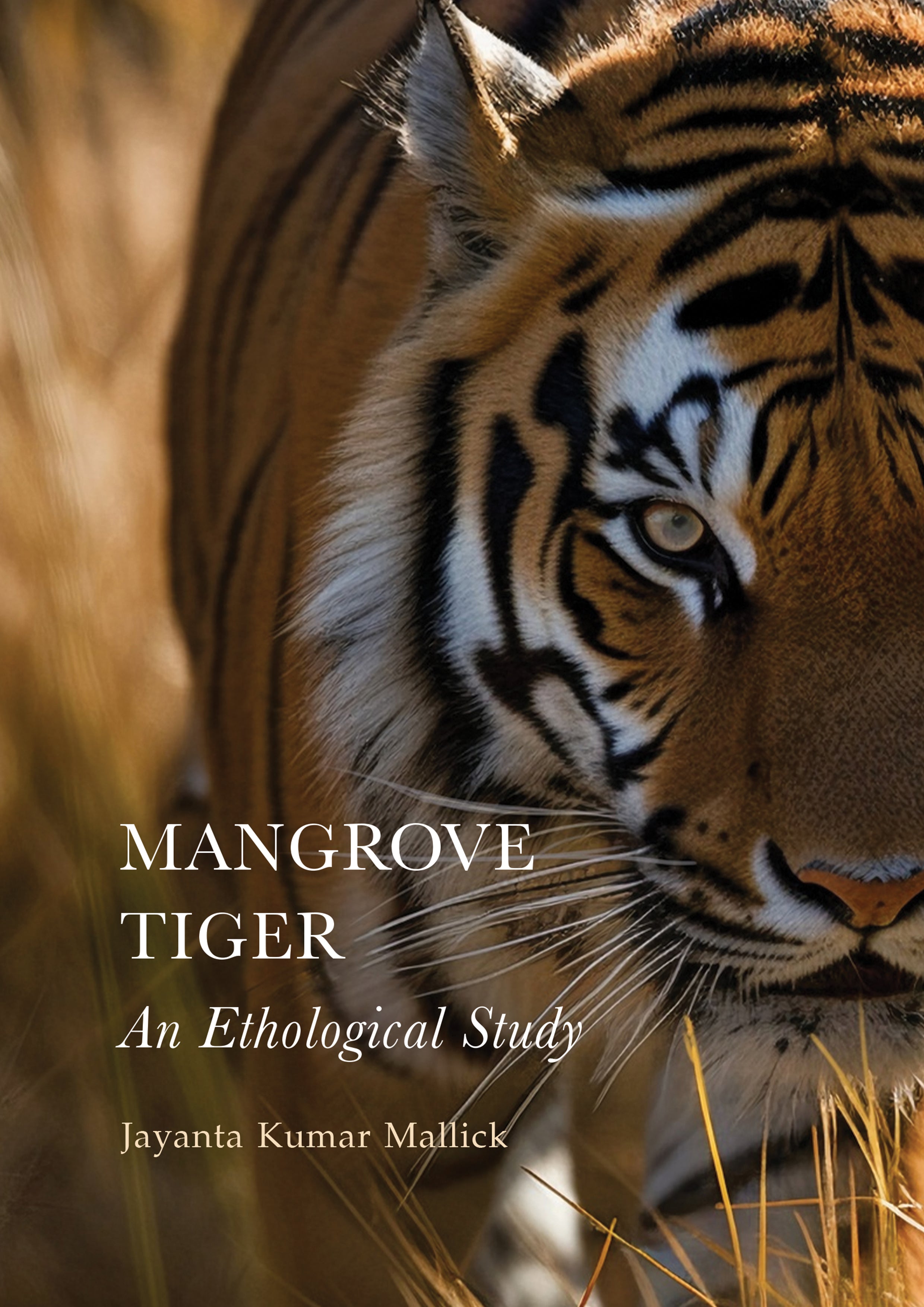 Ranthambore Day Trip: Encounter Majestic Bengal Tigers In, 51% OFF