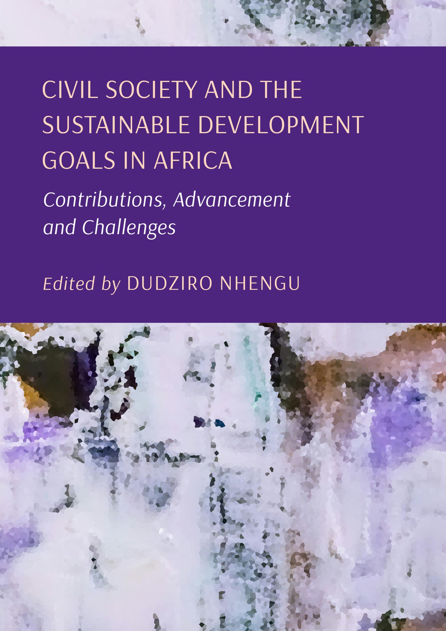 Civil Society and the Sustainable Development Goals in Africa: Contributions, Advancement and Challenges
