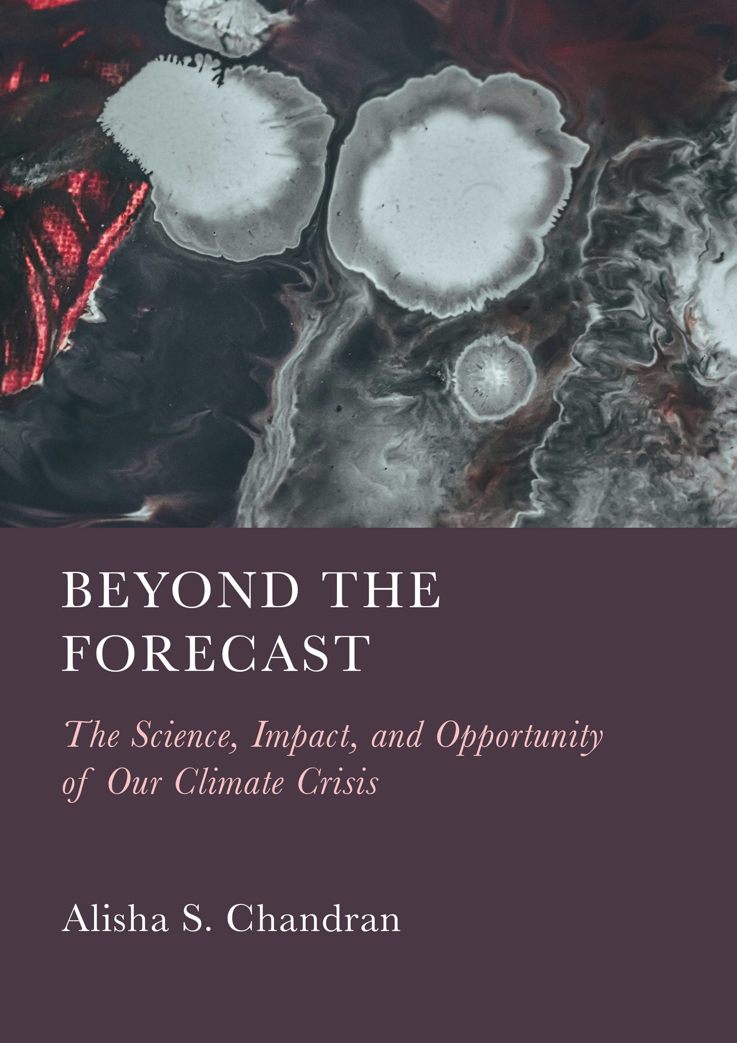 Beyond the Forecast: The Science, Impact, and Opportunity of Our Climate Crisis